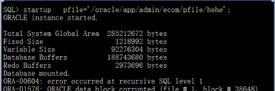 华为S5300存储Oracle数据库恢复成功案例3.png